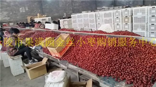 供应新疆红枣代加工新疆红枣价格