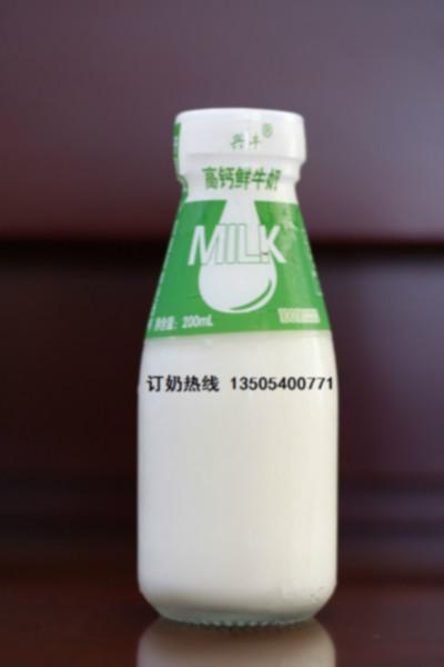 供应巴氏杀菌牛奶农科院高钙鲜牛奶瓶装