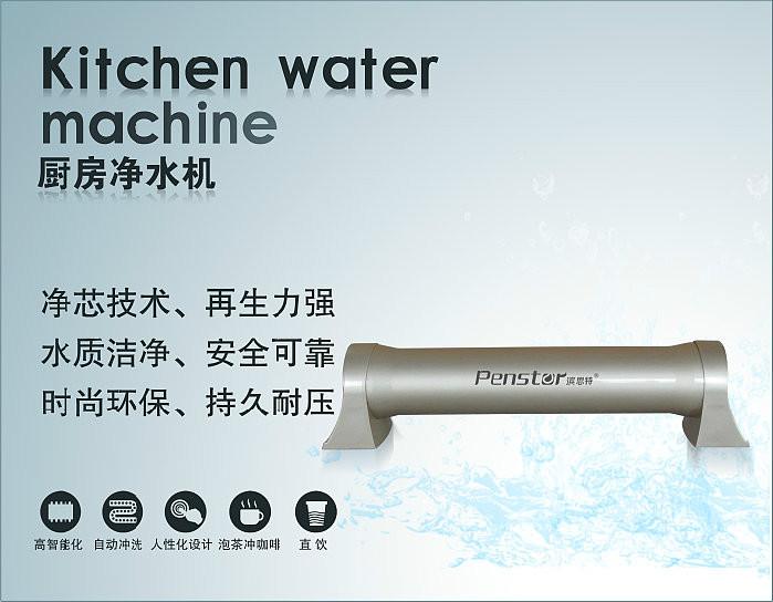 世界进水十大品牌滨思特厨房净水机PST-A3图片