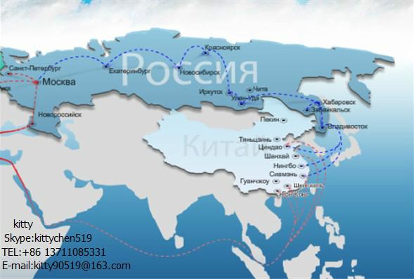 供应俄罗斯海运双清包税到门物流运输专线公司