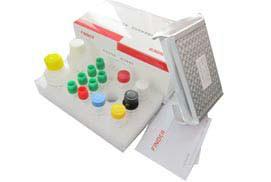 供应氯霉素快速检测试剂盒96T/盒 酶联免疫试剂盒图片