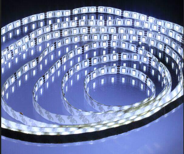 供应LED软灯条/灯条价格/灯带用途/LED