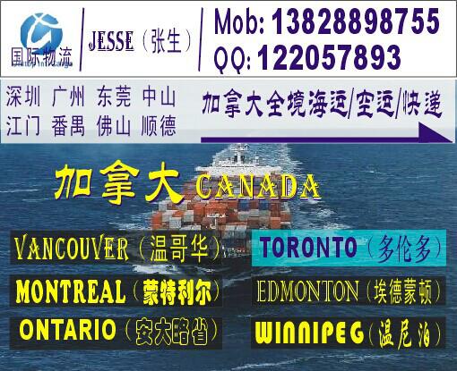 供应深圳到加拿大多伦多的国际海运公司