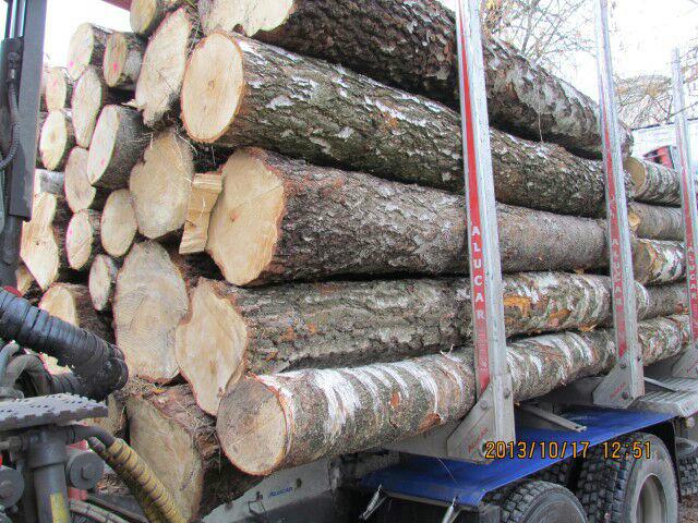 供应东北木材桦木原木,高品质桦木木方板材6.5cm 7.5cm 厂家