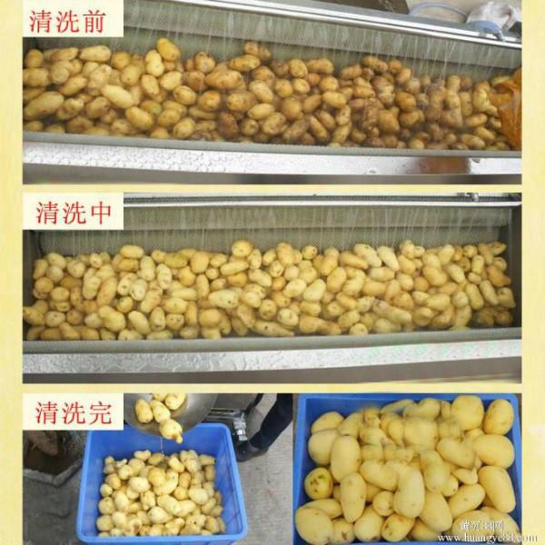 供应土豆去皮清洗机  ，土豆毛辊清洗机  ， 根茎类清洗机