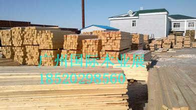 专业生产防腐木材批发