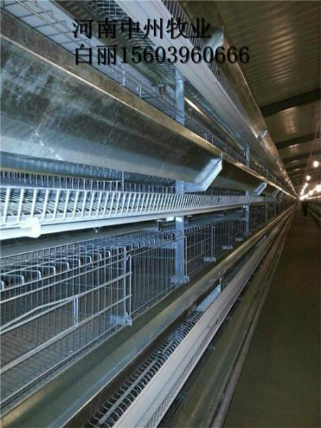 供应养鸡设备及配套的各种养鸡设备设施