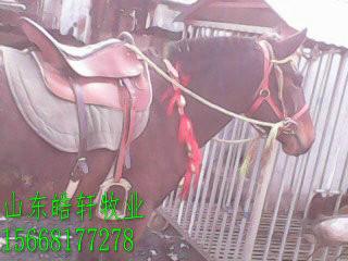 广东供应用于农用的马骡养殖价格，新疆西门塔尔牛基地