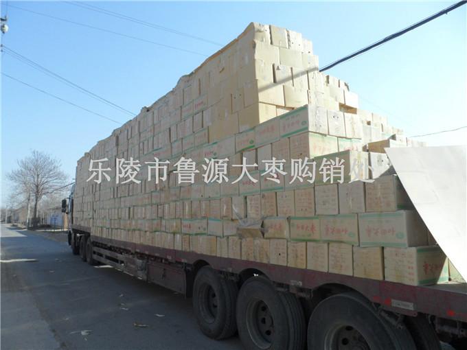 新疆红枣厂家供应新疆红枣厂家和田大枣厂家若羌灰枣批发价格