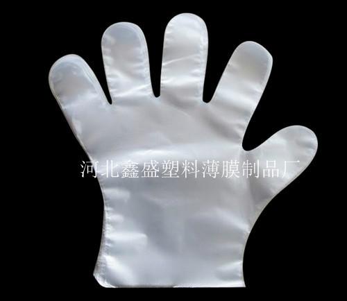 供应一次性薄膜卫生手套专业生产商