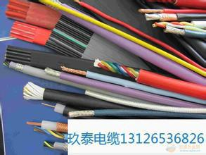 供应伺服电机电缆供应商、电葫芦控制磁浮电缆电话：13563528440