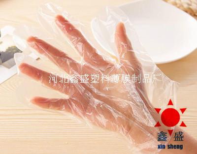 供应一次性PE塑料透明手套著名制造商