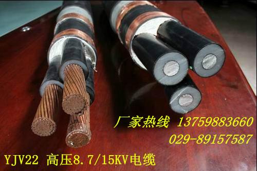 供应陕西西安YJV22高压电缆厂家13759883660图片