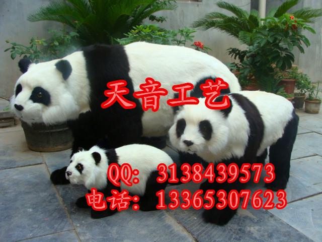 仿真熊猫照相道具国宝熊猫标本批发