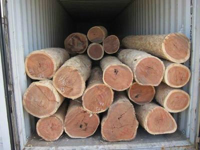 上海木材进口运输费用批发