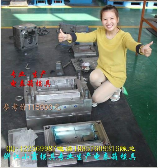 台州市黄岩注射模具18表位电表箱塑料模具厂家