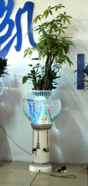 供应底座玻璃一体水培花瓶  凯奇盆艺电子水培花瓶营养液 水培花卉