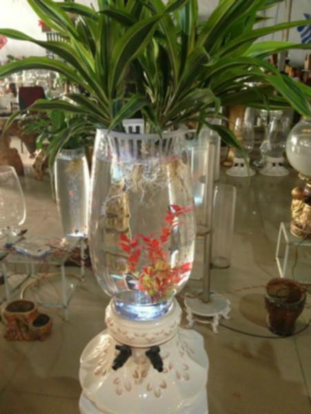 供应山东凯奇盆艺厂家电子水培花瓶，花鱼共生玻璃瓶，营养液