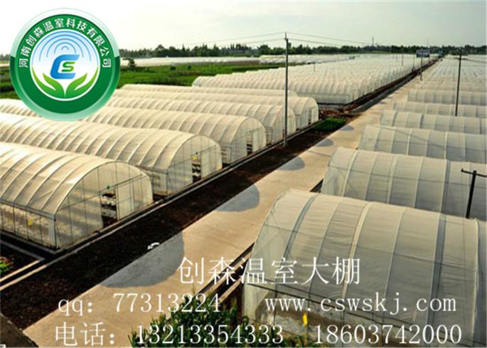 许昌市钢结构蔬菜大棚建造厂家
