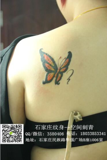供应石家庄最好的纹身店蝴蝶纹身图案
