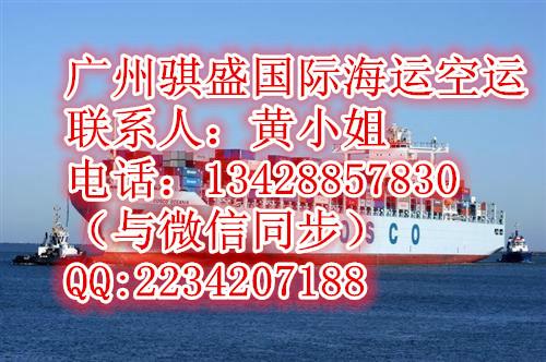 供应中国至美国国际运输服务/美国海运双清到门