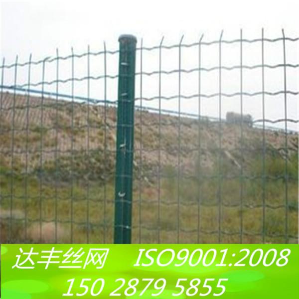供应涂塑焊接网养殖场围栏网