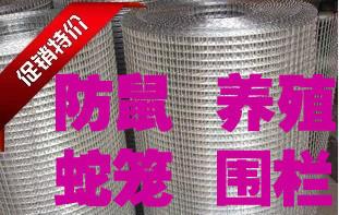 浸塑/镀锌电焊网铁丝网养殖网批发