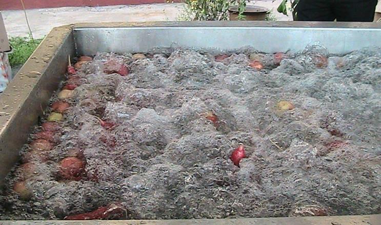 潍坊市果蔬清洗设备自动清洗机厂家