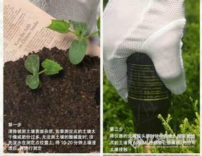 深圳市园林土全钾全氮全磷含量检测厂家
