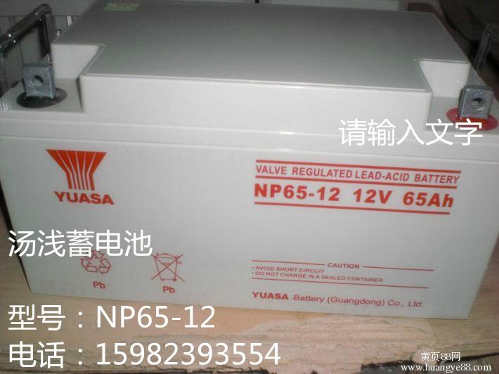 免维护汤浅npL155-12蓄电池批发