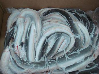 供应现货批发正品进口冷冻海鳗价格优惠