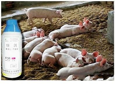 供应发酵床消毒液发酵床养猪发酵床养鸡发酵床专用消毒剂