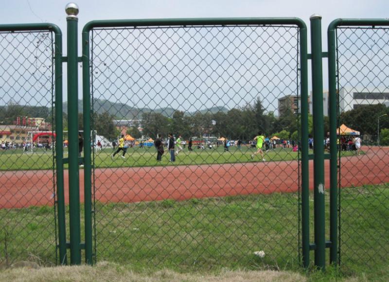 供应学校球场围栏网
