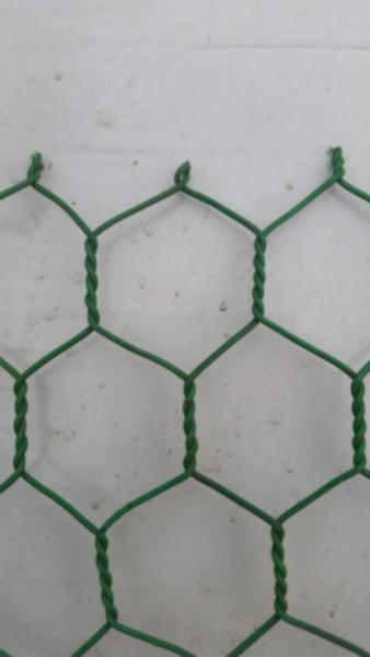供应涂塑六角网  PVC六角网 拧花网 河北省定州市良友金属制品有限公司