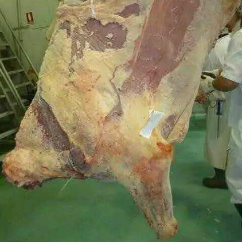 供应牛肉进口澳洲牛肉进口进口澳洲牛肉