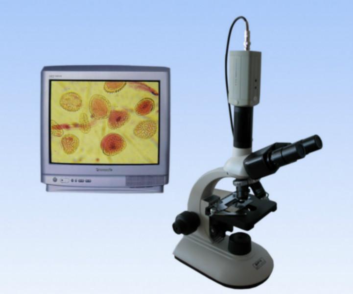 供应天津B203LED双目生物显微镜