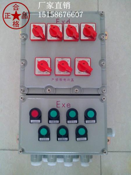 供应BXM51-6防爆照明配电箱（挂墙式）图片