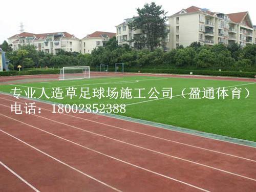 足球场地施工建设方案人工草坪价格批发