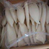 供应精品包装冷冻粗加工水产品鱿鱼筒价格实惠质量保证