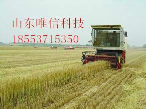 供应大型联合小麦收割机