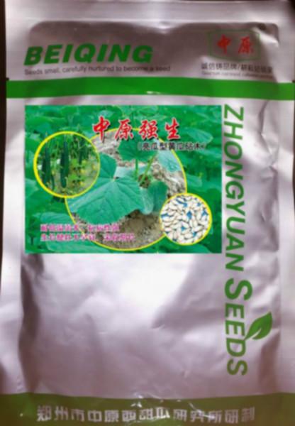 供应已在上海大量种植黄瓜砧木种子 中原冬生/亮瓜/抗寒