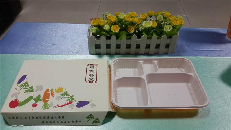 供应北京厂家批发环保六格塑料餐盒