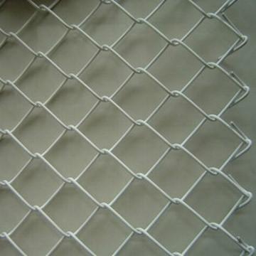 供应优质低碳钢丝勾花网菱形网斜方网图片