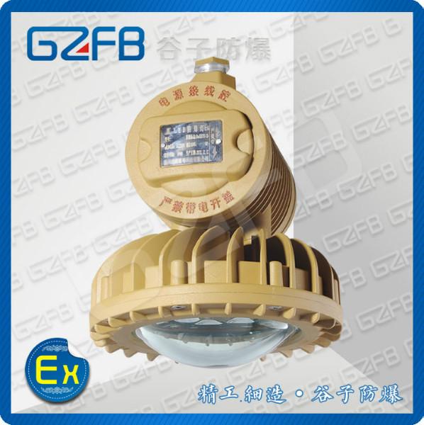 供应护栏式防爆LED照明灯 GZD220系列 谷子防爆 IP65图片