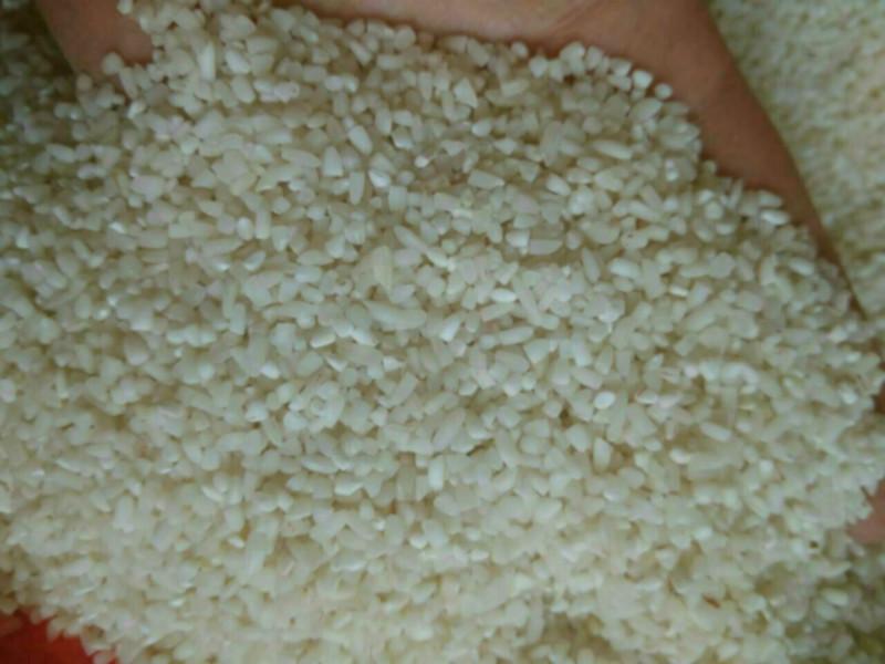 大碎/无杂质抛光碎米最便宜价格批发