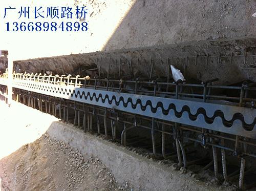 供应广州桥梁伸缩装置系列厂家,广州桥梁伸缩装置系列报价
