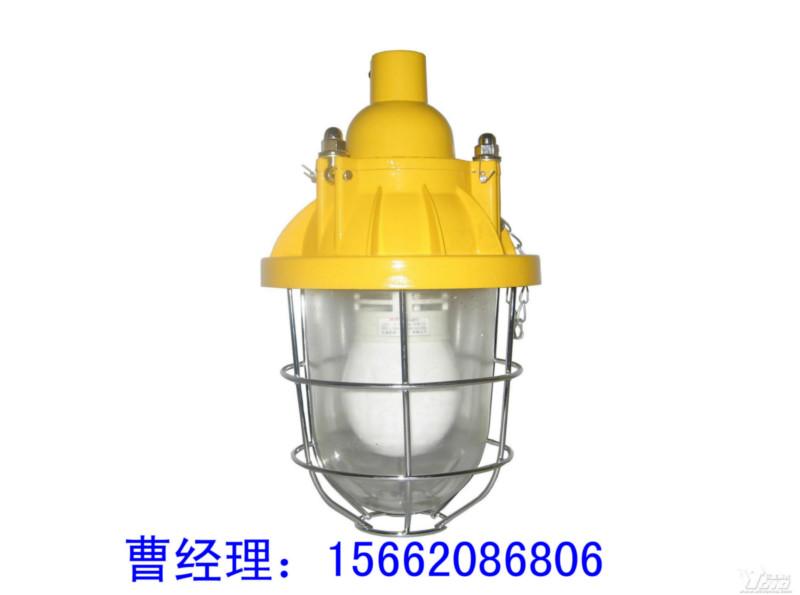 供应山东新泰化工厂BAD-200防爆灯  防爆灯具生产厂家  防爆灯具市场价格