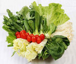供应广州绿色蔬菜配送 绿色蔬菜标准是什么