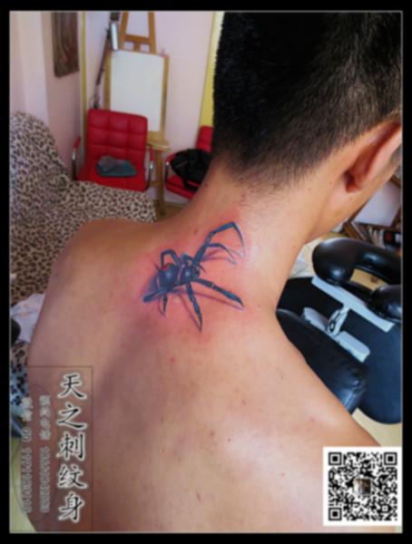 供应蜘蛛纹身图腾纹身青岛纹身纹身图案