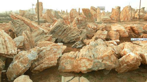 宏大龟纹石厂家供应用于景观的宏大龟纹石